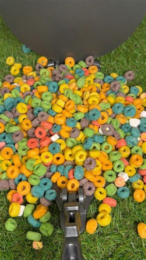 Fruit loops vs Tortilla press