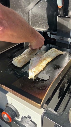 Imagine being able to smoke fish on your flat top stove🤯🤔 #cooking #shorts #food
