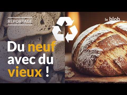 Recycler le pain invendu, une solution pour éviter le gaspillage | Reportage