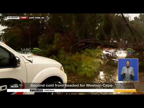 Woman injured after tree falls onto her car in Cape Town