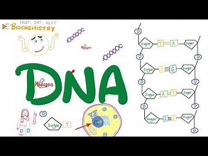 DNA 🧬 Structure and Function | Nucleosides and Nucleotides | Biochemistry and Biology Video Lecture - MCAT