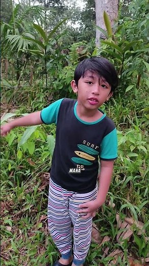 When Mom Was Shocked to See a Big Durian Fall Down the Road from My Father's Garden. My Hand Got ...