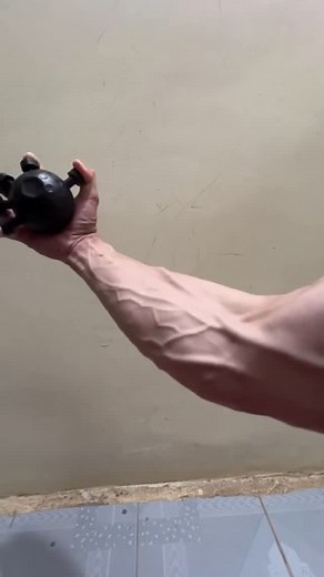 Easy Bargains | 🖐️ Squeeze, strengthen, repeat! Hand Exercise Ball & Finger Grip Trainer Train your grip, reduce stress, and build strength—one squeeze at... | Instagram