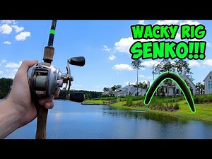 EPIC Wacky Rigged SENKO Bass Fishing!!! | Bass Fishing With Senkos!
