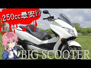 The cheapest 250cc? The rise and fall of big scooters