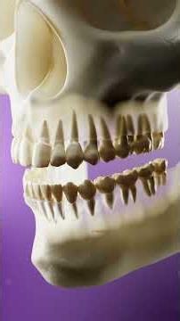 What Happens to Your Jawbone After Tooth Loss? | 21D