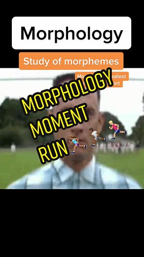 Understanding Morphology: The Power of Morphemes