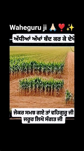 #waheguruji #wahegurusimran #gurubani #gurubanishabad#kirtangurbani#kirtan
