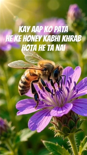 Kay aap ko pata hai ki #short #fact #honey #honeyfact