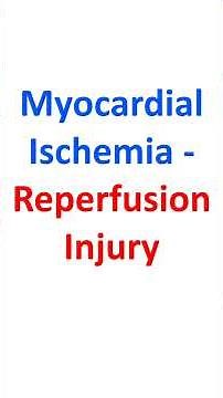 Myocardial Ischemia - Reperfusion Injury