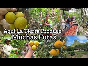 Paraíso Dónde Quisiera Vivir, Aquí Hay Frutas Gratis En Las Montañas de Honduras.
