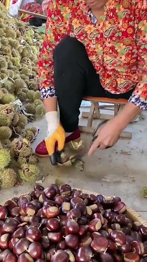 Meme ✅ trên TikTok