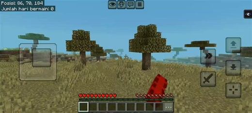 Minecraft Survival Mode Tips for New Players