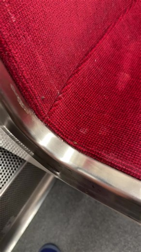 Experiencing Bed Bugs on the TTC Subway