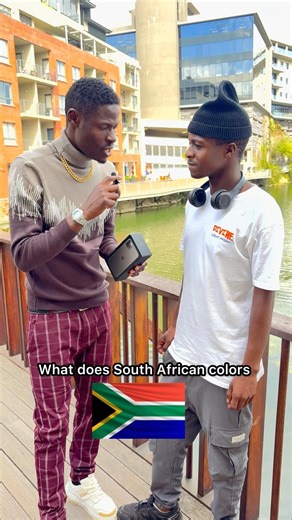 What do the colors on the South African flag represent?