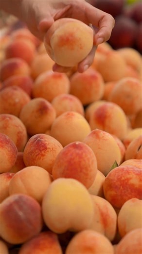 The best recipes using peaches