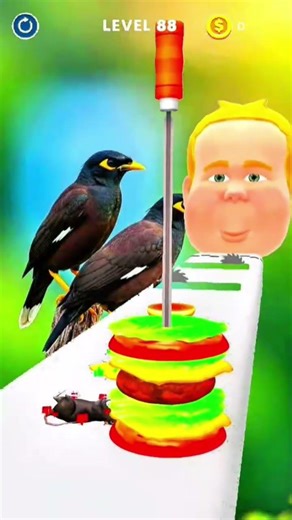 Mega Sandwich Burger Creation 🍔🥪 | XXL Gameplay #shortfeed #shorts