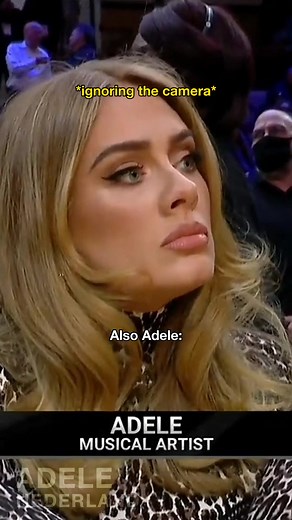Adele Memes: The Funniest Moments Captured