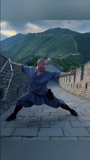 Shaolin Monk training #shaolinmonk #martialarts #kungfu #training #mma #chinesemartialarts