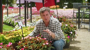 Garden Express on Reels