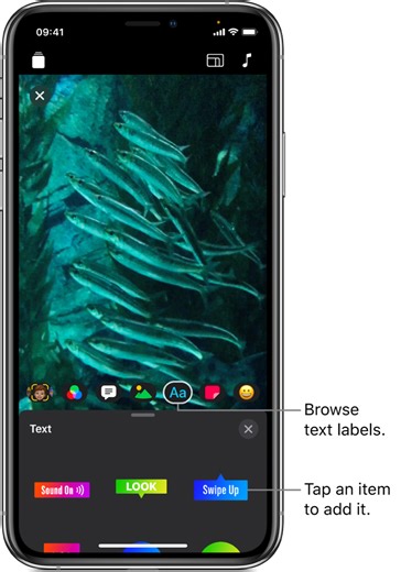 Add text labels in Clips