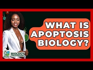 What Is Apoptosis Biology? - Biology For Everyone