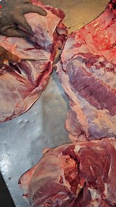 Easy paddle bone | MrButcher