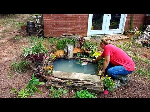 DIY Wildlife Pond Made The Easy Way!