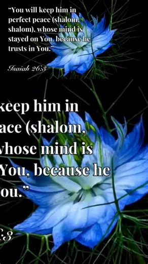 Peaceful Scripture Instrumental | True Peace