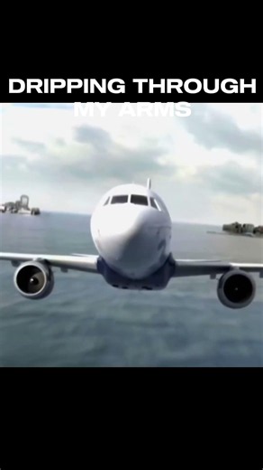 The miracle on the Hudson (us airways flight 1549) sully 2016 #miracle #usairways #sully