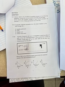 SECTION AQUESTION 11.1. Various options are provided as possi... | Filo