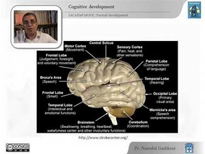 IACAPAP MOOC: 2. Normal development in child and adolescents (Naoufel Gaddour, Tunisia)
