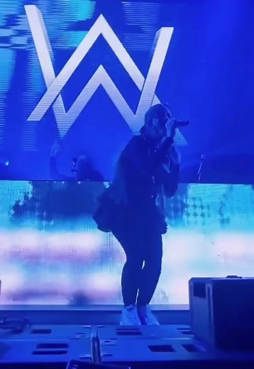 Alan Walker Performs 'Alone' Live: A Captivating Solo Performance