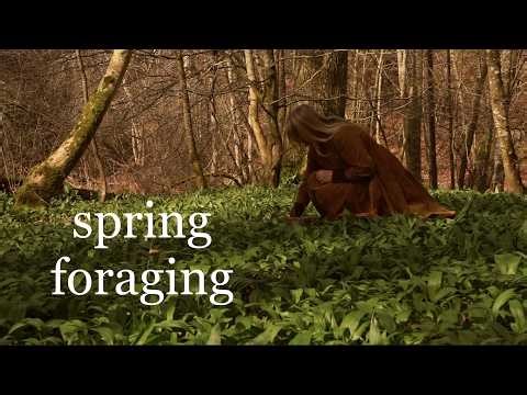 How to find and use the first flowers and plants in spring ❀ Cottage Life ❀