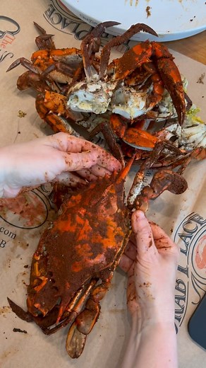 Hey Crab Lovers, How do you open your crab? We ship our crabs and premium seafood nationwide because we want everyone to get the best #crab #crabs #crablover #chesapeake #howto #crabsofinstagram #foodie #foodiesofinstagram #foodstagram | CrabPlace.com