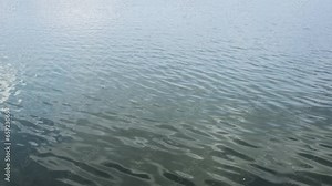 Transparent water wave in the lake, you can see the pebble rocky bottom
