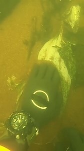 18K views · 137 reactions | #underwater #underwaterphotography #diving | News Media Today | Facebook