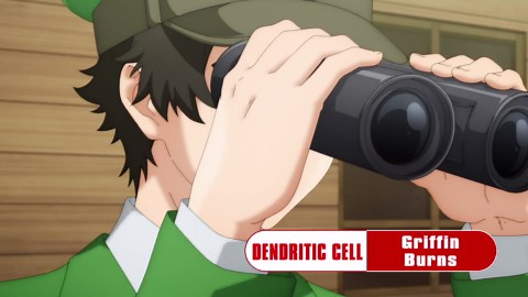 Cells at Work! (TV Series 2018–2021) ⭐ 7.5 | Animation, Action, Adventure