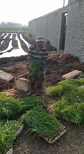 7.4K views · 43 reactions | 01003677232 01010766047  متاح حجز...