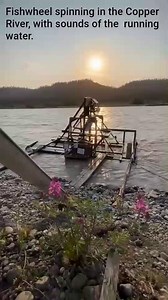 Happy solstice from the land of 20 hours daylight! Immerse yourself in a typical morning for many rural Alaskans in the Copper Basin - checking your fishwheel for salmon caught! It is that time of year when residents along the Copper River start their daily checks (mandatory every ten hours), to capture their bounty and feed their subsistence lifestyle. #subsistencefish #copperriverreds #copperbasin #awayoflife (NPS video/Cellarius of fishwheel spinning in the Copper River.) | Wrangell-St. Elias