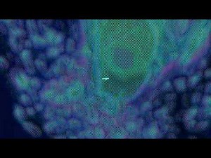 anna kendrick - cups (slowed + supereverb)[FV]