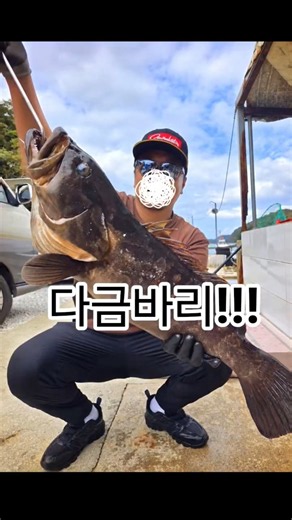 대마도낚시 다금바리 #낚시 #대마도 #다금바리 #돔 #수영 #해루질 #물질 #손맛
