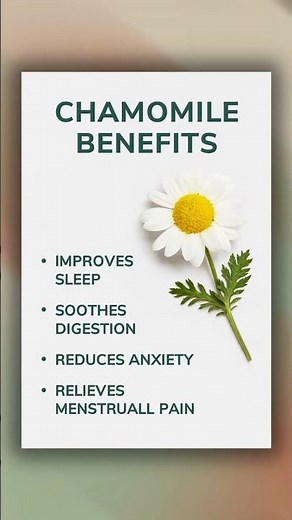 TOP 4 CHAMOMILE HEALTH BENEFITS YOU MUST KNOW!
