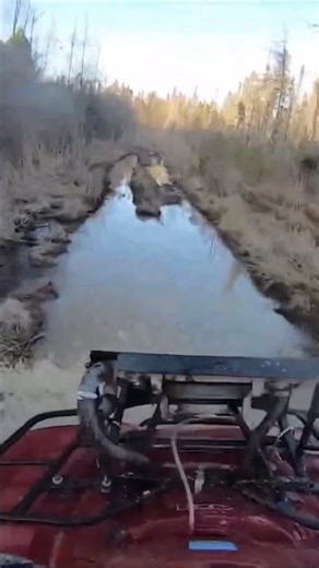 Jumped my fourwheeler by accident 😂 #fourwheeler #offroad #atv #mudding