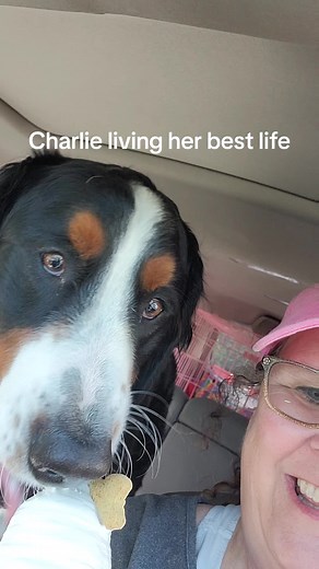 Kathy Bell (@kathybell123)’s videos with Good Memories - Cochren & Co.