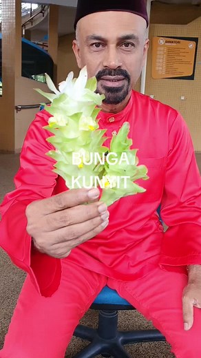 Khasiat Bunga Kunyit: Amalan Herba Tradisional