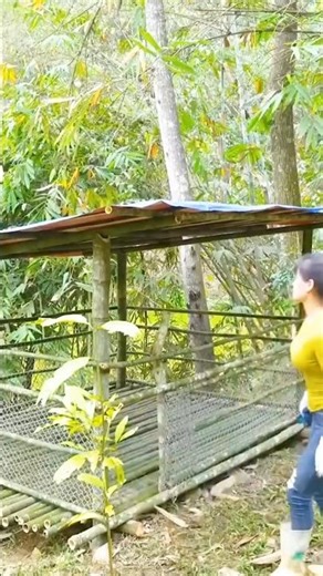 Amazing Small Bamboo House – No Cement, No Bricks #shorts #viral