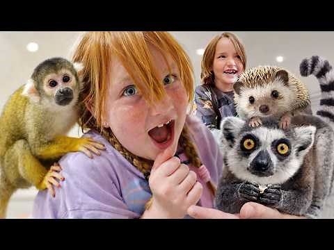 Monkey Jumps on ADLEY!! Niko holds Baby Animals! visiting a Japan Animal Cafe of cute Zoo Buddies
