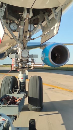 Pilote : On fait voler les avions nous ! Agent de piste : Essayez de reculer pour voir ? 📸: marvinfwi971®️ | French bee
