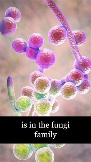 Do Mushrooms Make Candida Worse?